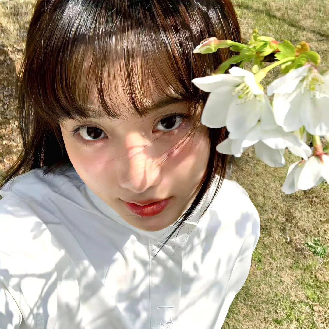 盗影谜情